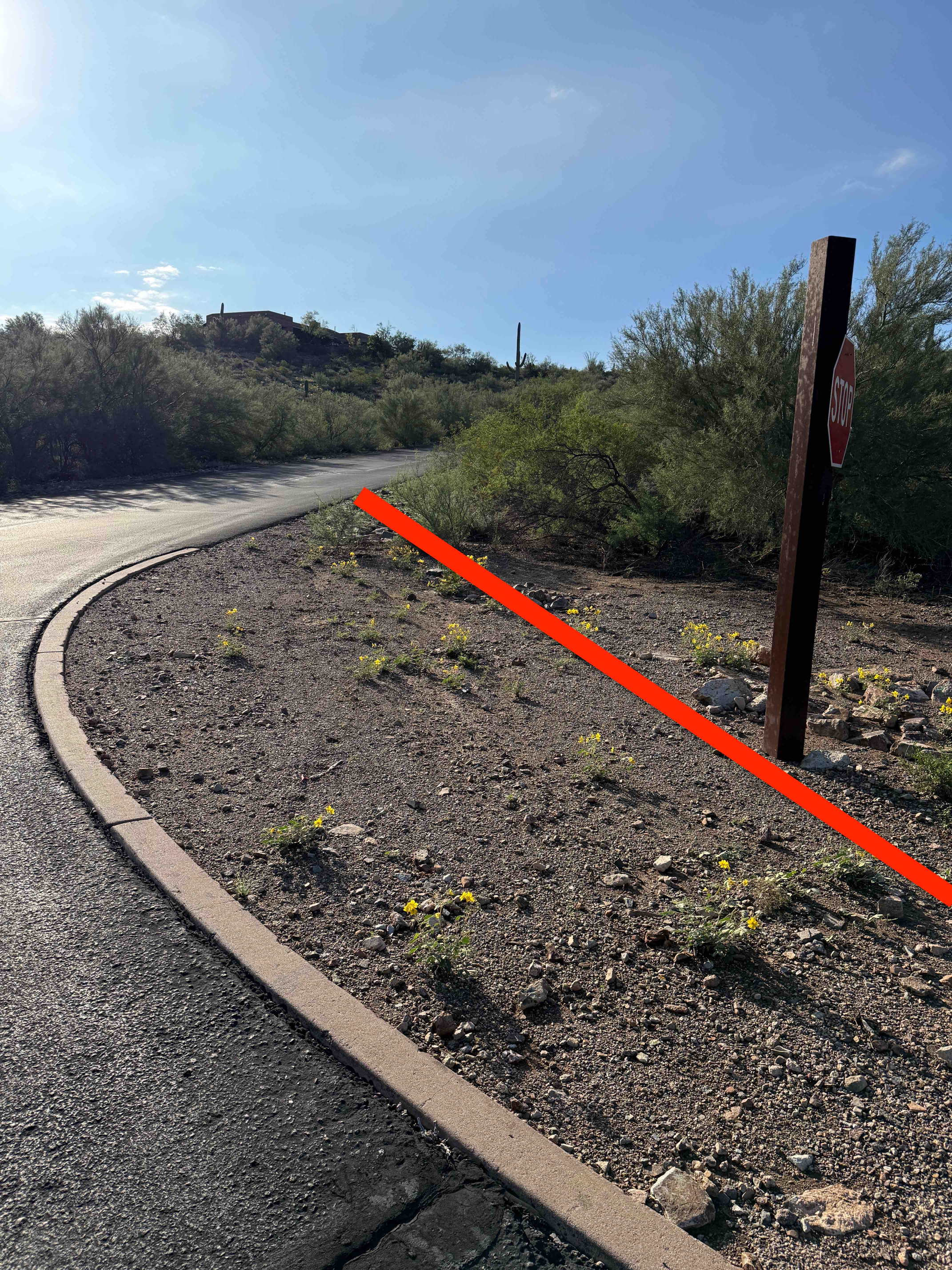 Tucson Mountain Place